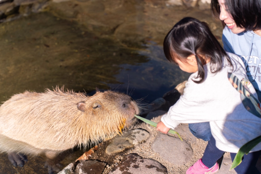 「もったいない」の美徳