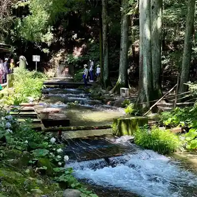 那須フィッシュランド