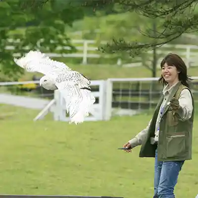 那須どうぶつ王国